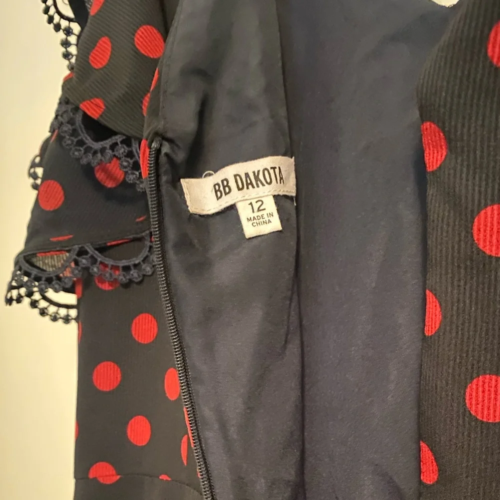 BB Dakota Polka Dot Ring The Alarm Knee Length Ruffled Dress size 12 - Picture 8 of 10